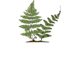 ЛаМиЛи.браслет - украшения из натуральных камней